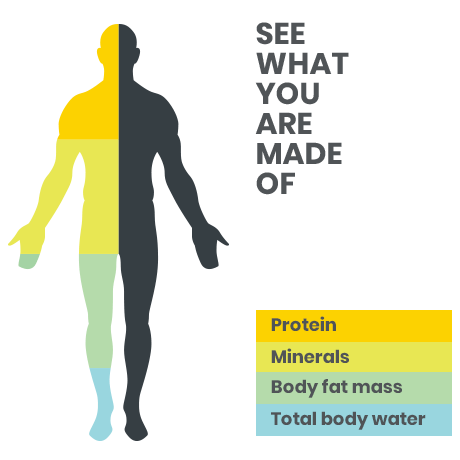 body-composition-analysis-body-weight-breakdown-cardiff body-composition-analysis-body-weight-breakdown-cardiff
