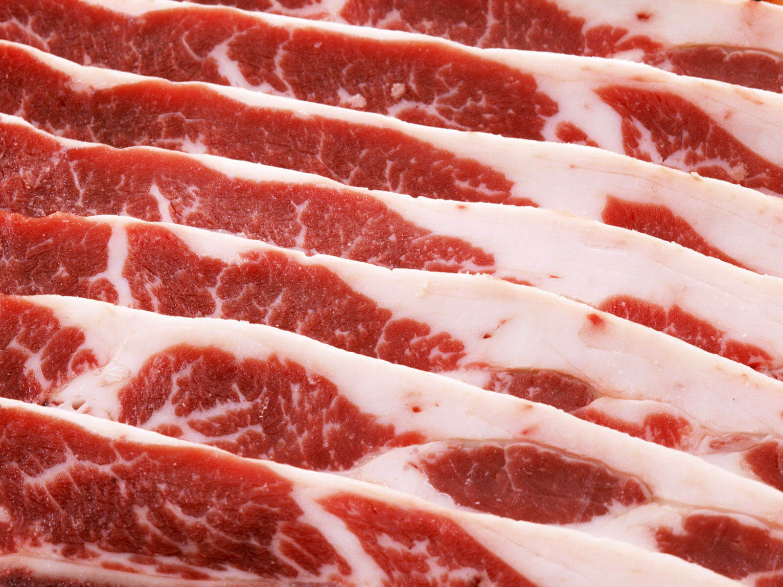Nutritional Science Series 14: How to follow a Carnivore Protocol