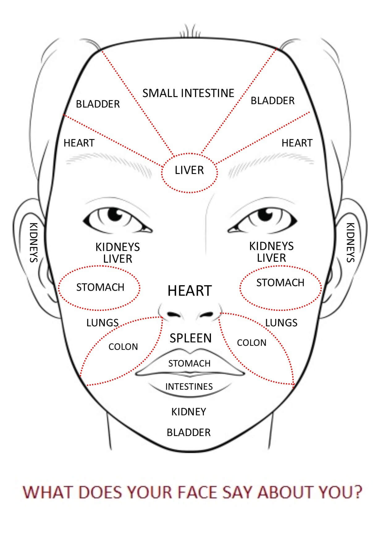 Face Mapping: How Your Face Reveals Which Part Of Your Body Is Sick