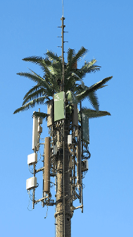 EMF Mast