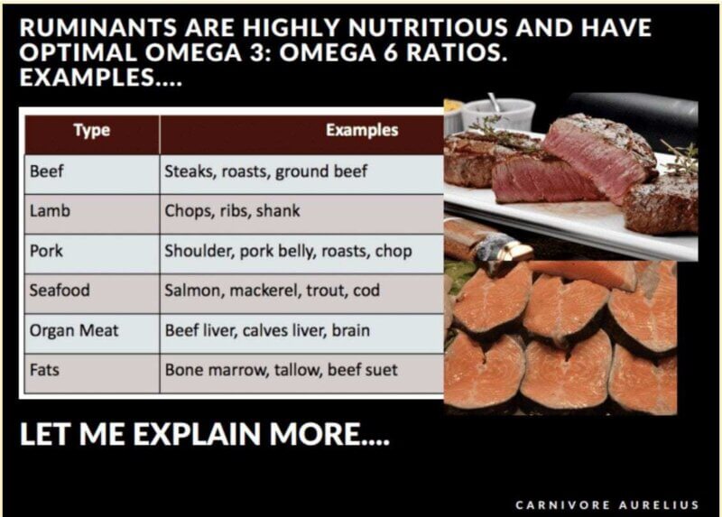 Carnivore Diet: Everything You Need To Know! • Nutrition