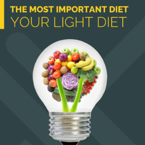 Light Diet Ebook Buy Online